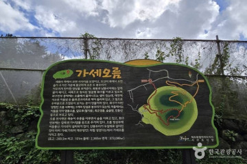 큰사슴이오름 여행 추천 - 메고지고