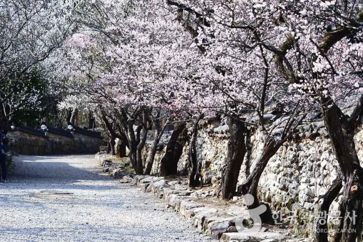 조계산도립공원 여행 추천 - 메고지고