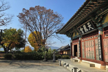 밀양읍성 여행 추천 - 메고지고