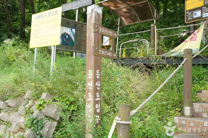 조양산(정선) 여행 추천 - 메고지고