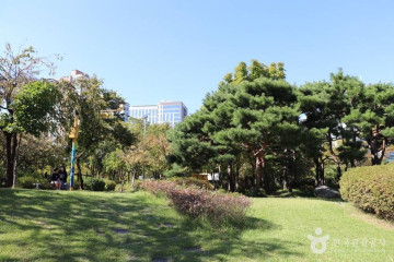 영등포 신길동 홍어거리 여행 추천 - 메고지고
