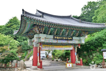 불광천 여행 추천 - 메고지고