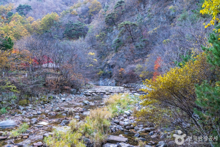 남천계곡 여행 추천 - 메고지고