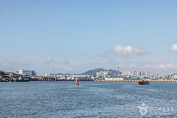 만석동 주꾸미거리 여행 추천 - 메고지고