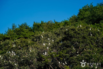 소백산단산 포도마을 여행 추천 - 메고지고
