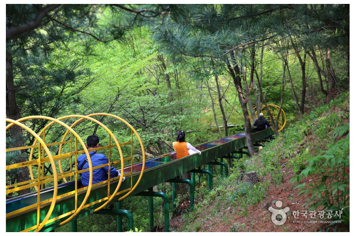 고운식물원 여행 추천 - 메고지고