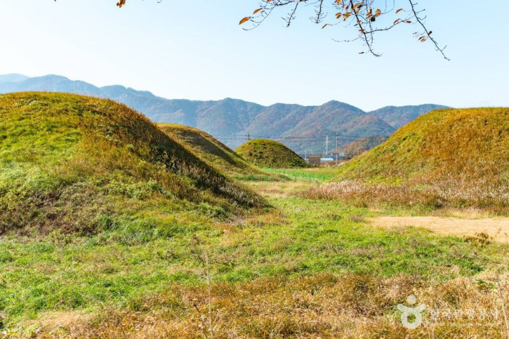 경주 금척리 고분군 여행 추천 - 메고지고