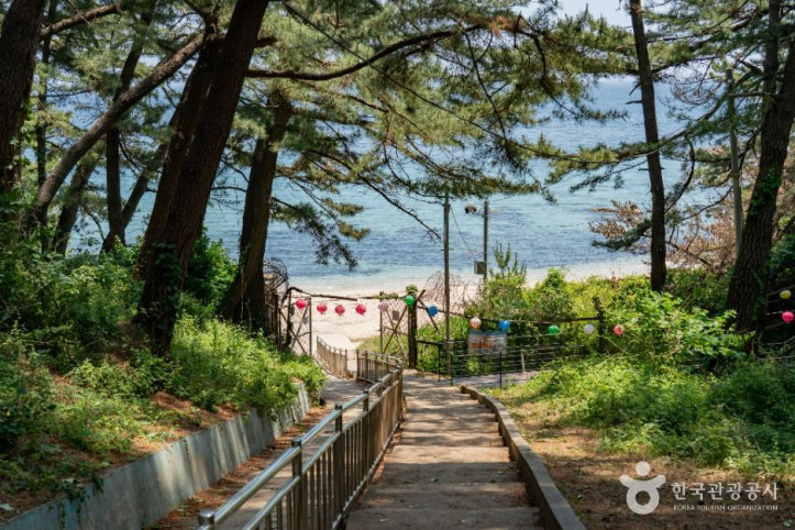감추해변 여행 추천 - 메고지고