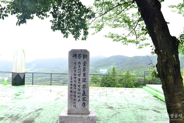 보성 차밭 전망대 여행 추천 - 메고지고
