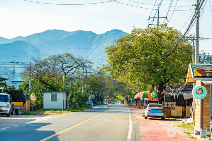 하동명품배거리 여행 추천 - 메고지고