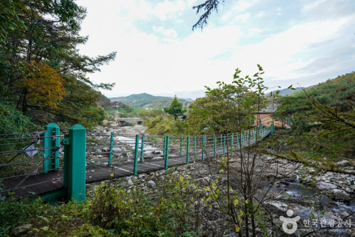 예천 출렁다리마을 여행 추천 - 메고지고
