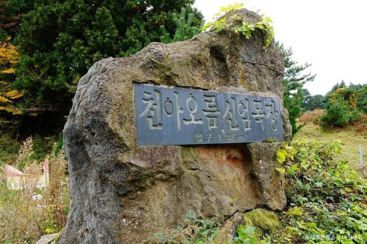 천아오름 여행 추천 - 메고지고