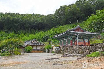 모후산 생태숲 여행 추천 - 메고지고