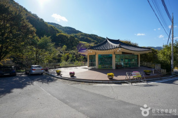 청량산비나리마을 여행 추천 - 메고지고