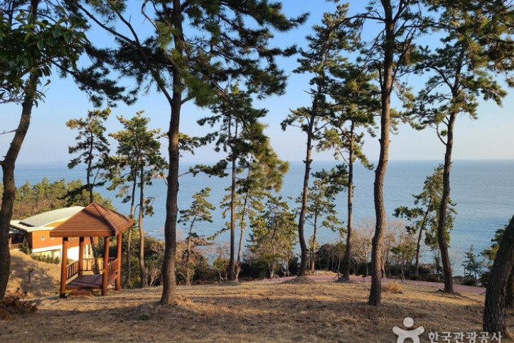 진도 여행 추천 - 메고지고
