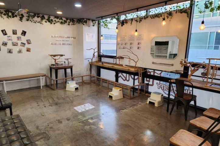 미어캣인더시티 여행 추천 - 메고지고