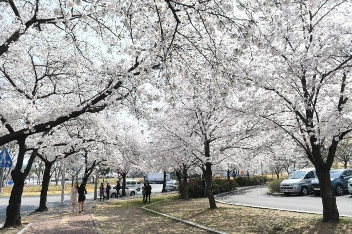 동촌유원지 여행 추천 - 메고지고