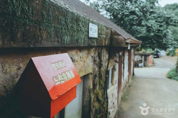 팜밸리리조트 여행 추천 - 메고지고