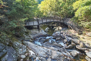 소백산 가리점마을(마조리마을) 여행 추천 - 메고지고