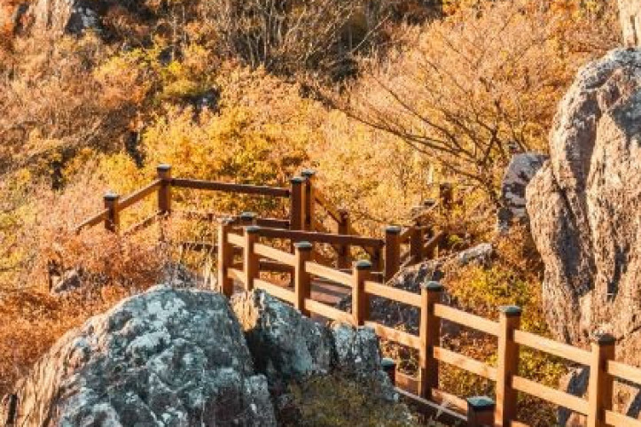노자산 여행 추천 - 메고지고