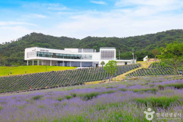 보림사(정읍) 여행 추천 - 메고지고