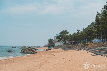 영덕대게보존마을 여행 추천 - 메고지고