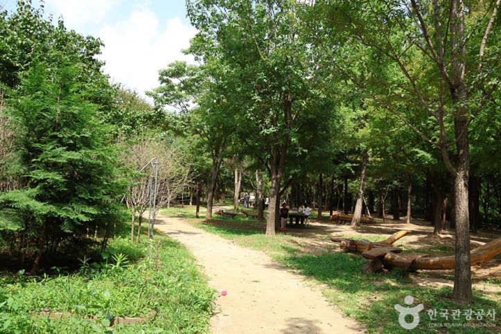월드컵공원 유아숲체험원 여행 추천 - 메고지고