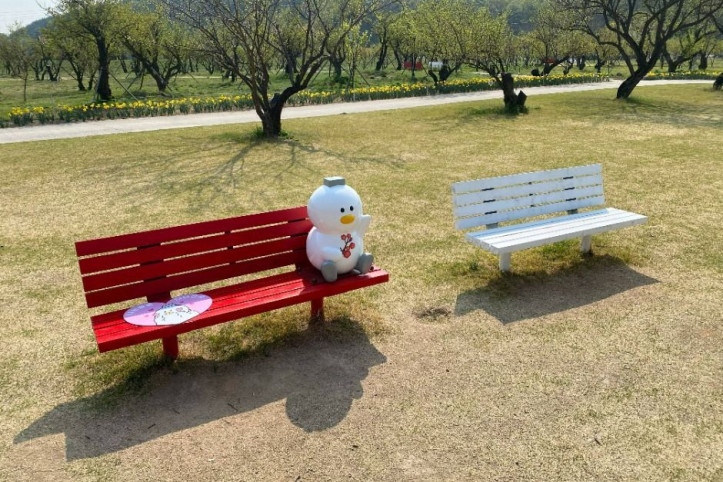 용당나루 매화공원 여행 추천 - 메고지고