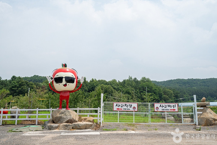 사과깡패 여행 추천 - 메고지고