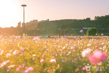 매양서원 여행 추천 - 메고지고