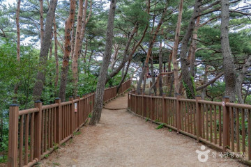 하조대전망대 여행 추천 - 메고지고