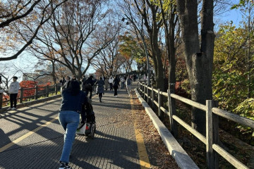 반공 청년운동 순국 열사 기념비 여행 추천 - 메고지고