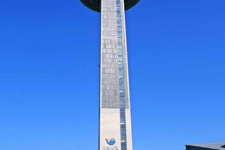 달전망대 여행 추천 - 메고지고