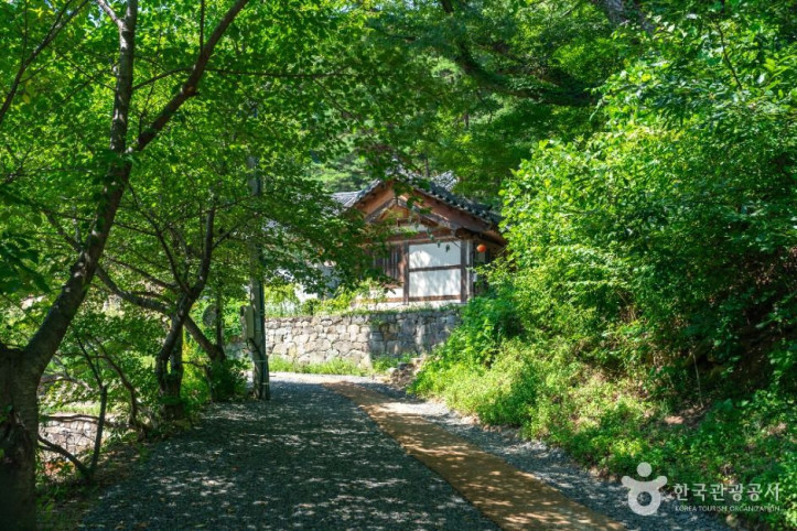 거동사 여행 추천 - 메고지고