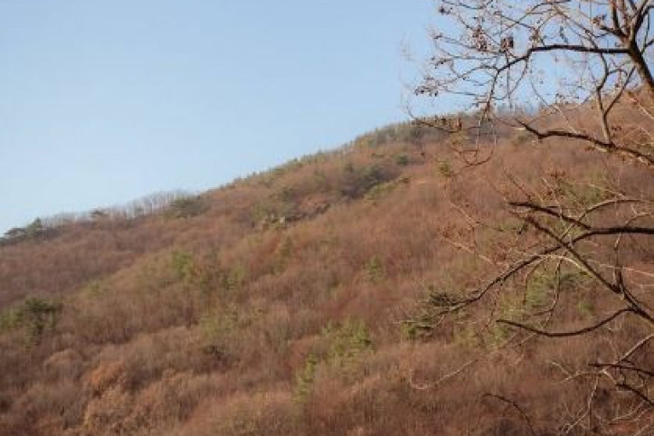 원등산 여행 추천 - 메고지고