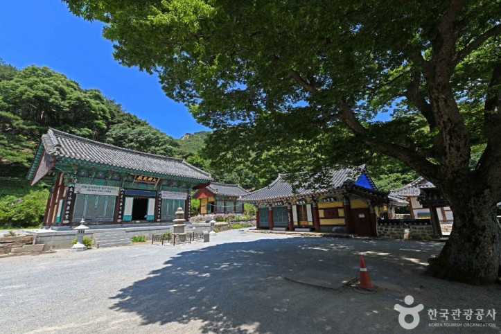 일락사(서산) 여행 추천 - 메고지고