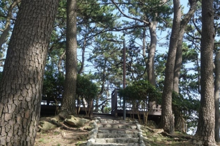 죽도공원 여행 추천 - 메고지고