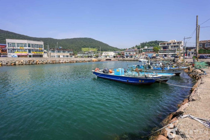 월전포구(월전방파제) 여행 추천 - 메고지고