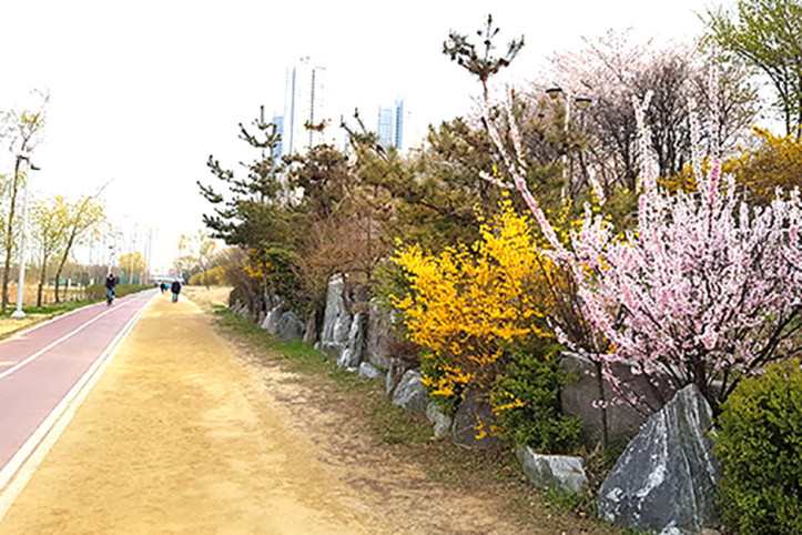 달빛축제공원 여행 추천 - 메고지고