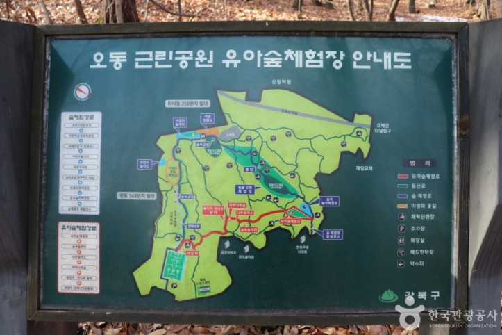 오동근린공원 유아숲체험장 여행 추천 - 메고지고