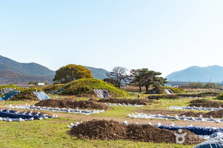 경주 금척리 고분군 여행 추천 - 메고지고