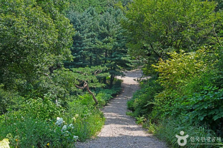 완주 화산꽃동산 여행 추천 - 메고지고