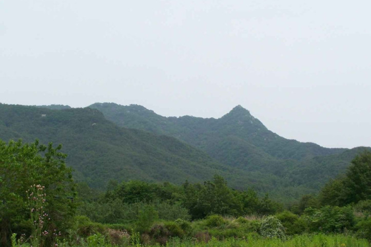 보해산(금귀봉) 여행 추천 - 메고지고