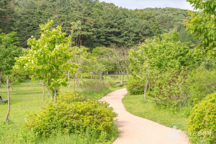 매쟁이골 여행 추천 - 메고지고