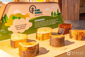 예천 목재문화체험장 여행 추천 - 메고지고