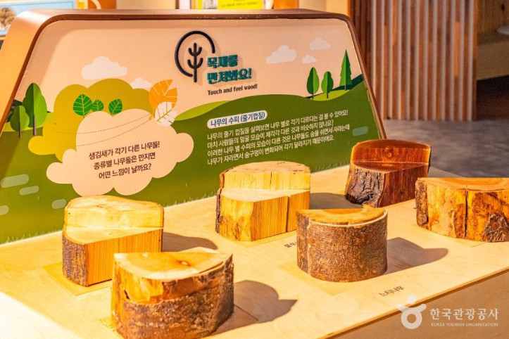 예천목재문화체험장 여행 추천 - 메고지고