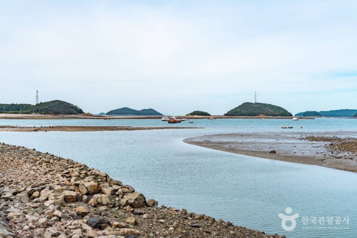 도비도항 여행 추천 - 메고지고