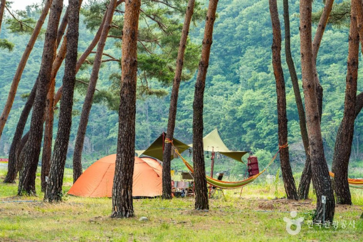 오천솔밭유원지 여행 추천 - 메고지고