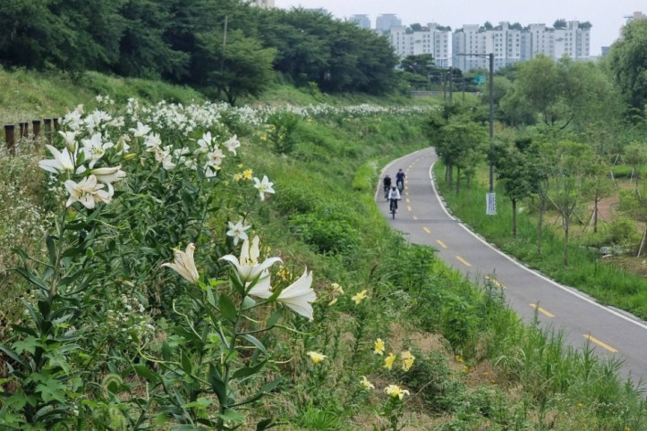 [서울둘레길 14코스] 안양천 하류코스 여행 추천 - 메고지고