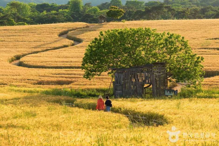 보리나라 학원농장 여행 추천 - 메고지고